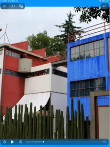 Frida Kahlo screenshot 11