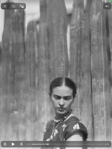 Frida Kahlo screenshot 14