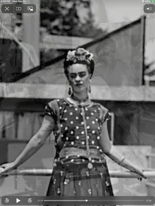 Frida Kahlo screenshot 21