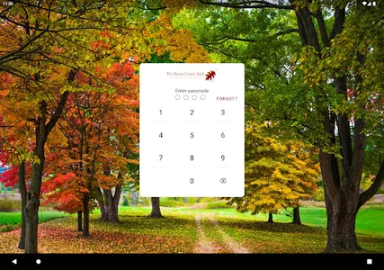 Maries County Bank screenshot 4