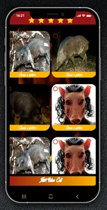Chat with babi ngepet – call p screenshot 4