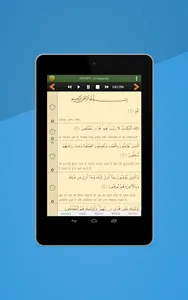 Quran Hindi (हिन्दी कुरान) screenshot 7