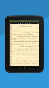 Quran Hindi (हिन्दी कुरान) screenshot 9