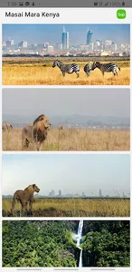 Masai Mara screenshot 0