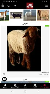 ماشيه screenshot 1