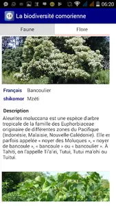 Émergence touristique screenshot 1