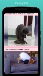 Мир животных screenshot 2