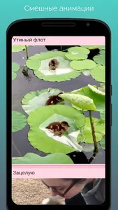 Мир животных screenshot 4