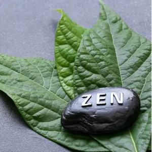 The Zen Jouney screenshot 1
