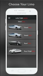 Master Limo screenshot 1