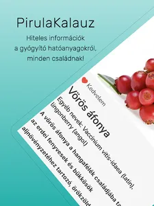 PirulaKalauz - szakértőktől screenshot 8