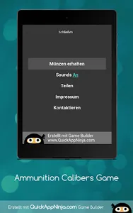 Ammunition Quiz screenshot 13