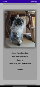 ManniCoon Cattery screenshot 2