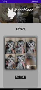 ManniCoon Cattery screenshot 3