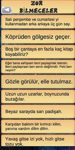 Bilmece Oyunu internetsiz screenshot 4