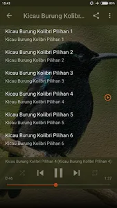 Kicau Kolibri Ninja Gacor screenshot 4