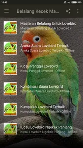 Belalang Kecek Master Lovebird screenshot 1