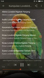 Belalang Kecek Master Lovebird screenshot 11