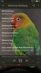 Belalang Kecek Master Lovebird screenshot 6