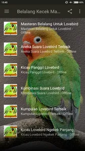 Belalang Kecek Master Lovebird screenshot 9