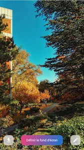 Custom Wallpaper screenshot 4