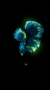 BETTA 120HZ screenshot 2