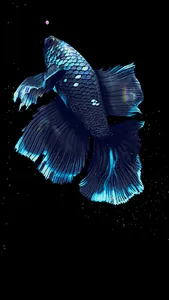 BETTA 120HZ screenshot 8