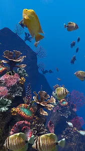 Ocean Aquarium screenshot 0