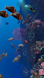 Ocean Aquarium screenshot 11