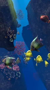 Ocean Aquarium screenshot 17