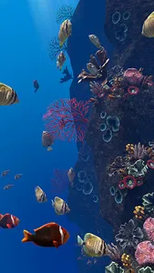 Ocean Aquarium screenshot 19