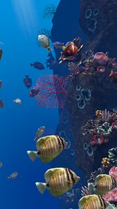 Ocean Aquarium screenshot 20