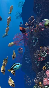 Ocean Aquarium screenshot 21