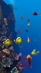 Ocean Aquarium screenshot 6