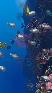 Ocean Aquarium screenshot 7