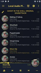 LAP - Local Audio Music Player screenshot 0