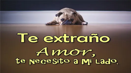 Imagenes de Perros con Fondos screenshot 13