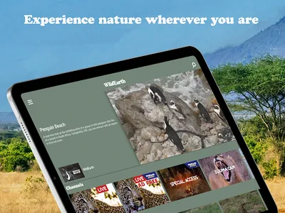 WildEarth TV - Nature Safari screenshot 9