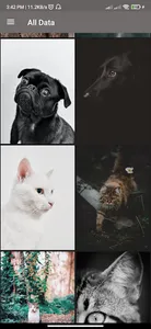 cats dogs wallpaper screenshot 2