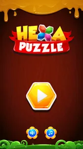Hexa Puzzle Zengin Fakir Oyunu screenshot 14