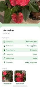 Moje Rosliny screenshot 5
