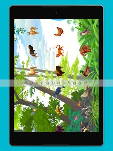Animals voices 2020 screenshot 0