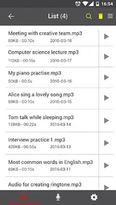 Voice Recorder Pro screenshot 12