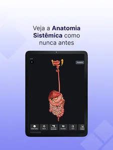 BioAtlas - Anatomia Humana 3D screenshot 11