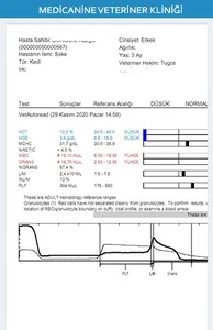 Medicanine Veteriner screenshot 4