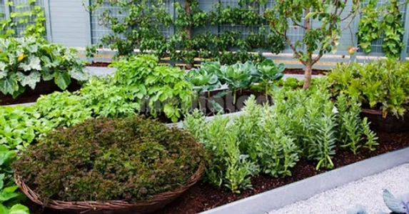 Cultivation of Medicines screenshot 7