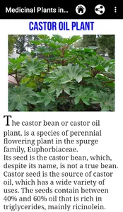 Medicinal Plants in Africa screenshot 3