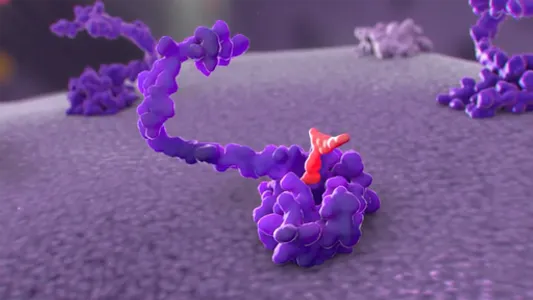 Medmovie AR1 screenshot 8