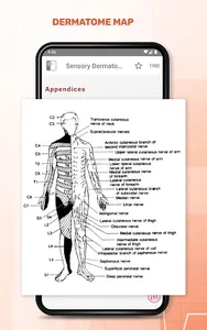 5 Minute Emergency Medicine screenshot 11