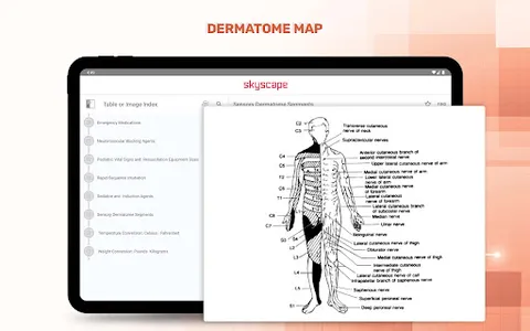 5 Minute Emergency Medicine screenshot 19